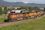 BNSF 1019